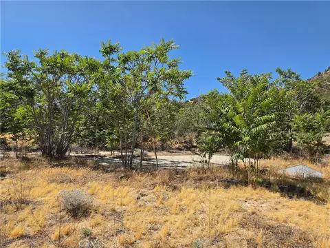 37210 Bohlen, Anza, CA 92539 photo 6