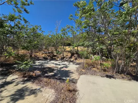 37210 Bohlen, Anza, CA 92539 photo 22