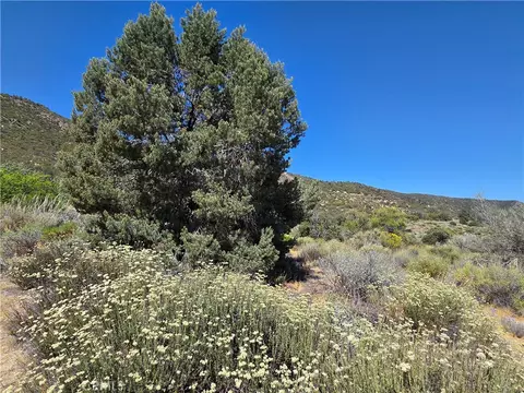 37210 Bohlen, Anza, CA 92539 photo 2