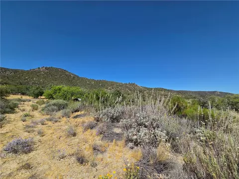 37210 Bohlen, Anza, CA 92539 photo 11