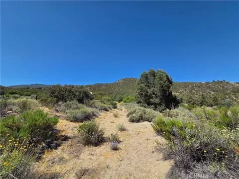 37210 Bohlen, Anza, CA 92539 photo 9