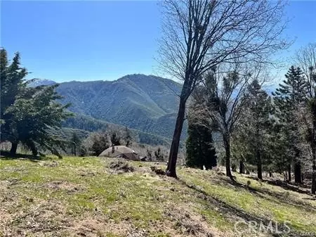 41 Fredalba Rd, Running Springs, CA 92382