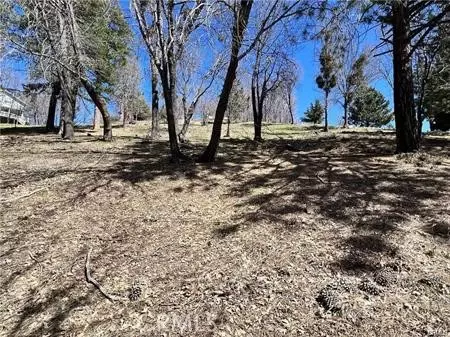 41 Fredalba Rd, Running Springs, CA 92382 photo 2