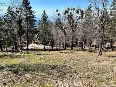 41 Fredalba Rd, Running Springs, CA 92382 photo 5