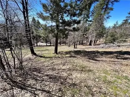 41 Fredalba Rd, Running Springs, CA 92382 photo 4