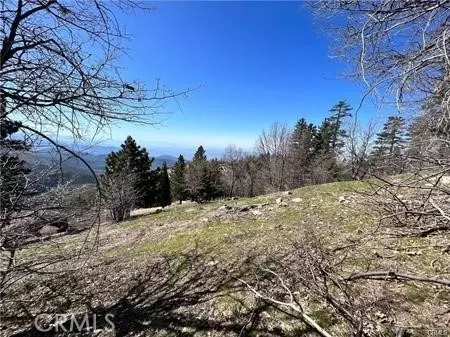 41 Fredalba Rd, Running Springs, CA 92382 photo 3