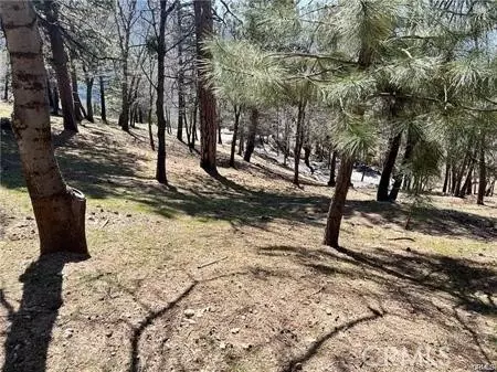 41 Fredalba Rd, Running Springs, CA 92382 photo 6