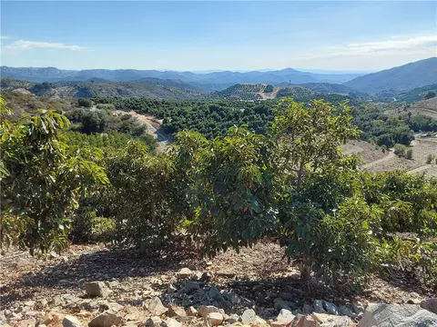 3 Via Vaquero, Temecula, CA 92590 photo 18