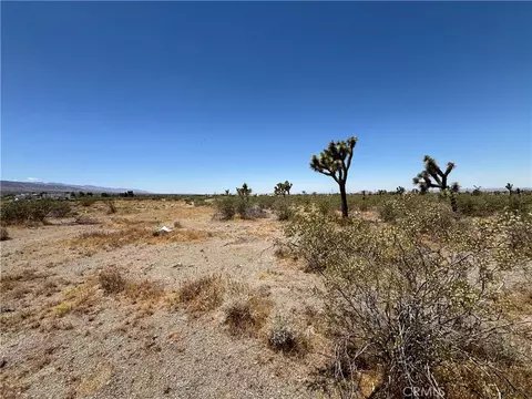 0 Danbury Rd, Pinon Hills, CA 92372