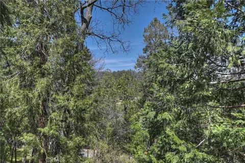 Other - 24032 Alpine Dr, Crestline, CA 92325 photo 6 of 6