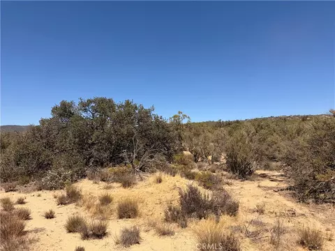 58650 Wellman Rd, Anza, CA 92539 photo 2