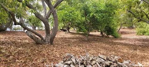 16 Camaron, Temecula, CA 92590 photo 2