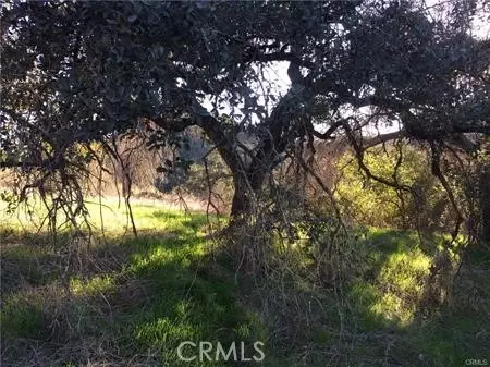 9 La Cruz Dr, Temecula, CA 92590 photo 13
