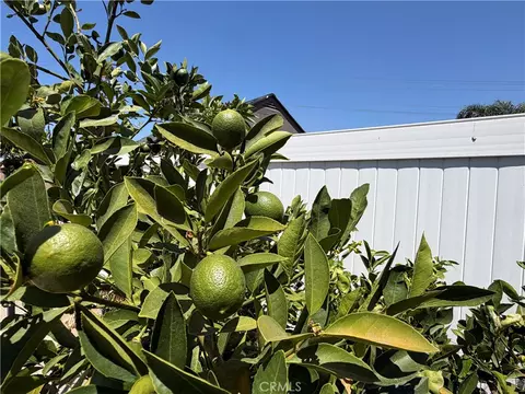 Exterior - 31008 Dulce Ct, Temecula, CA 92592 photo 6 of 9