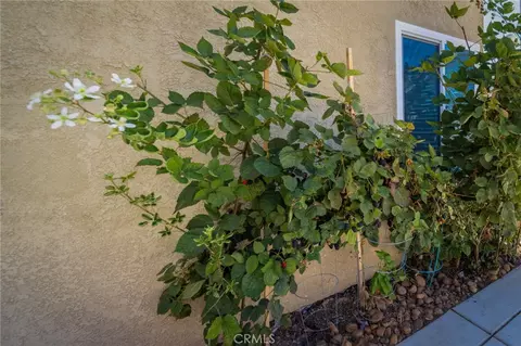 Exterior - 45948 Parsippany Ct, Temecula, CA 92592 photo 4 of 13