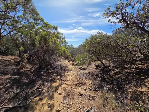 0 Garnet, Anza, CA 92539 photo 35