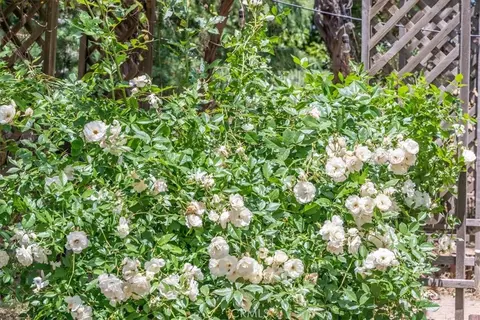 Other - 39875 Bautista Rd, Anza, CA 92539 photo 8 of 12