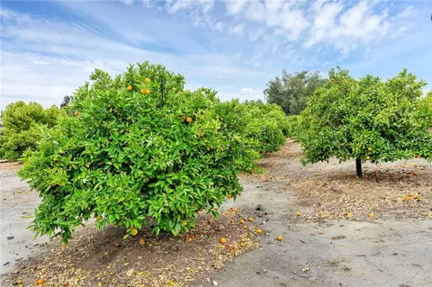 24800 Cornstalk Rd, Wildomar, CA 92595 photo 23