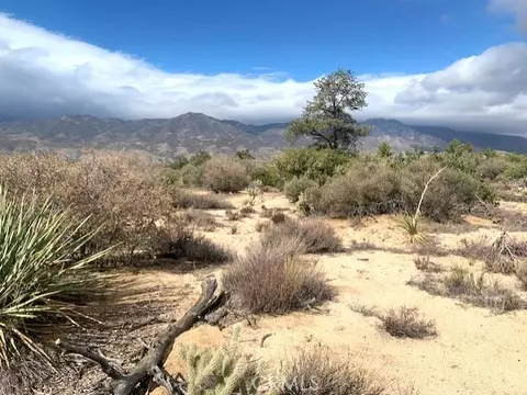 368 Palm Canyon Dr, Mountain Center, CA 92561