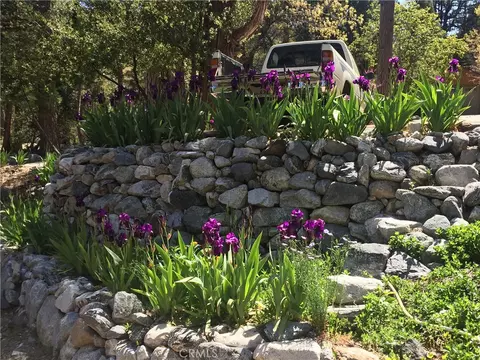 Exterior - 9112 Torrey Pines Rd, Forest Falls, CA 92339 photo 6 of 12