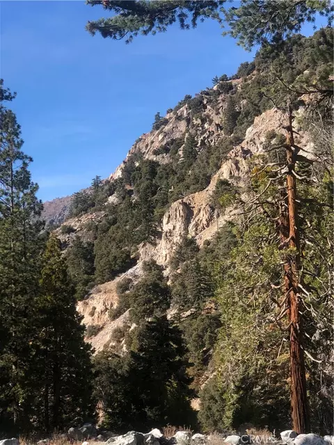 Other - 9112 Torrey Pines Rd, Forest Falls, CA 92339 photo 22 of 23
