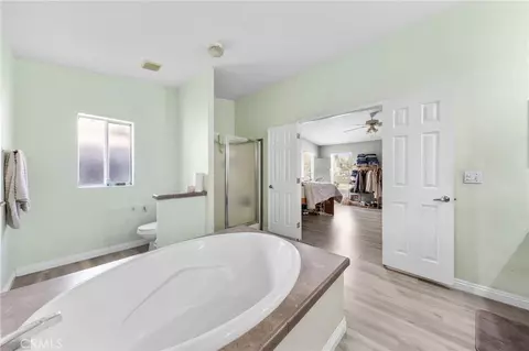 31559 Wolfskill, Nuevo, CA 92567 photo 17