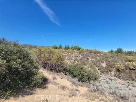 0 Tule Peak, Anza, CA 92539 photo 10