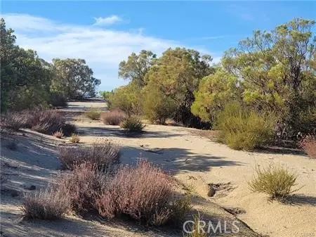 0 Tule Peak, Anza, CA 92539 photo 13