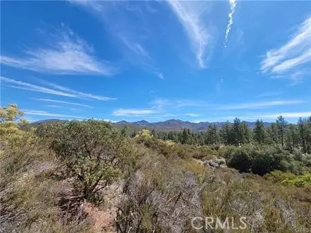 0 Tule Peak, Anza, CA 92539 photo 12
