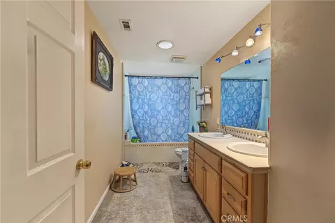Other - 58175 Bliss Rd, Anza, CA 92539 photo 8 of 33