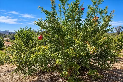 0 Via Vaquero, Temecula, CA 92590 photo 9