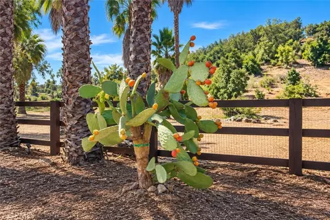 0 Via Vaquero, Temecula, CA 92590 photo 30