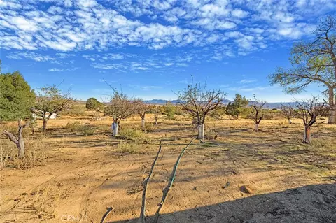 56575 Dickson Way, Anza, CA 92539 photo 8