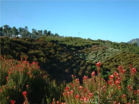 45464 Camaron Rd, Temecula, CA photo 1