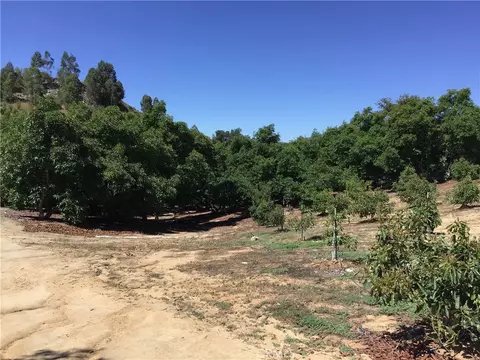 1 Monte Rancho, Temecula, CA 92590 photo 56