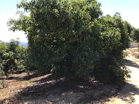 1 Monte Rancho, Temecula, CA 92590 photo 51