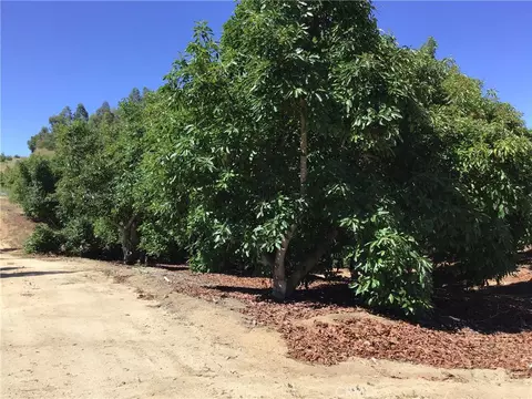 1 Monte Rancho, Temecula, CA 92590 photo 58