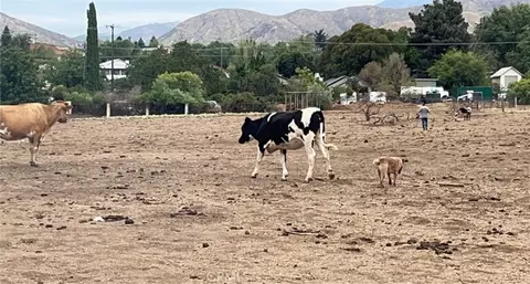 0 Gilman, Banning, CA 92220 photo 5