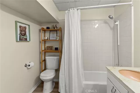 Bath - 5215 Lone Pine Canyon Dr, Wrightwood, CA 92397 photo 4 of 4