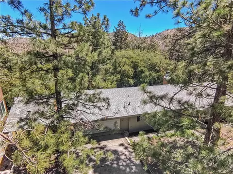 Other - 5215 Lone Pine Canyon Dr, Wrightwood, CA 92397 photo 3 of 20
