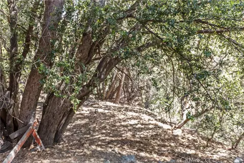 Other - 5215 Lone Pine Canyon Dr, Wrightwood, CA 92397 photo 20 of 20