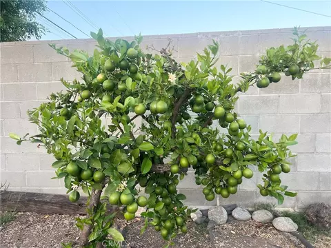 Other - 20723 Northampton St, Walnut, CA 91789 photo 19 of 20