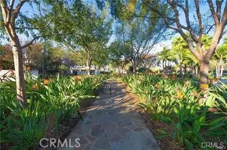 Exterior - 6030 Eucalyptus, Chino, CA 91710 photo 10 of 10