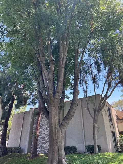 Exterior - 3054 Associated Rd #20, Fullerton, CA 92835 photo 4 of 6