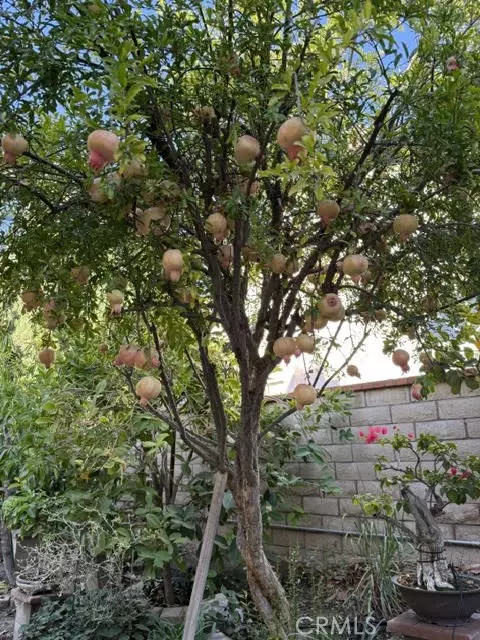 Other - 21111 Valleyview Dr, Walnut, CA 91789 photo 6 of 7