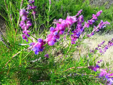 Other - 4840 Calf Canyon Hwy, Creston, CA 93432 photo 13 of 18
