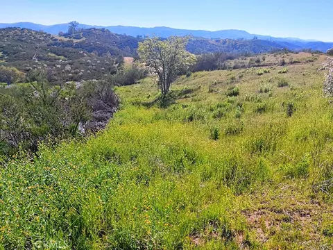 Other - 4840 Calf Canyon Hwy, Creston, CA 93432 photo 11 of 18