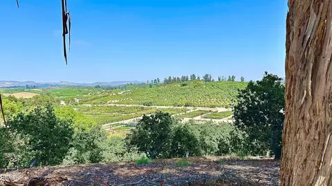 0 Manzanillo Dr, Moorpark, CA 93021