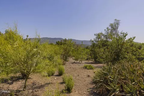 1 Hendrickson Rd, Ojai, CA 93023 photo 4