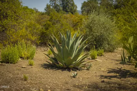 1 Hendrickson Rd, Ojai, CA 93023 photo 5